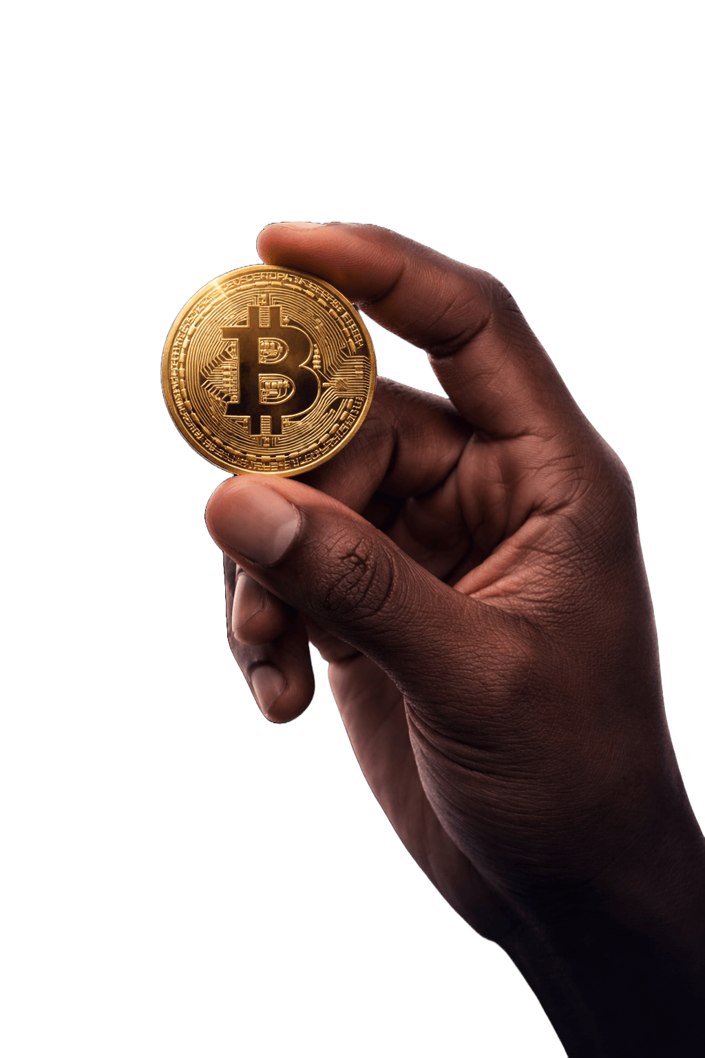 Crypto Portfolio Display